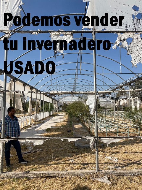 Invernaderos de segunda mano venta