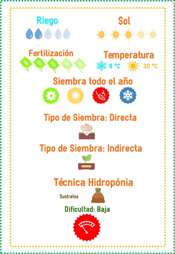 semilla de cebolla morada venta en df