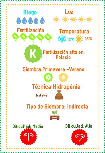 venta semilla chile serrano df
