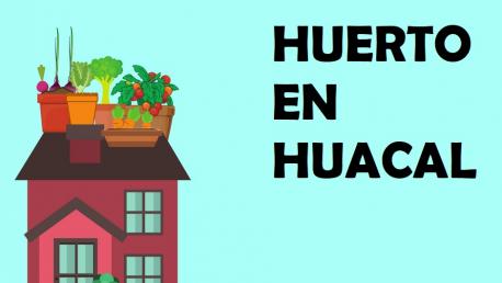 huerto en huacales